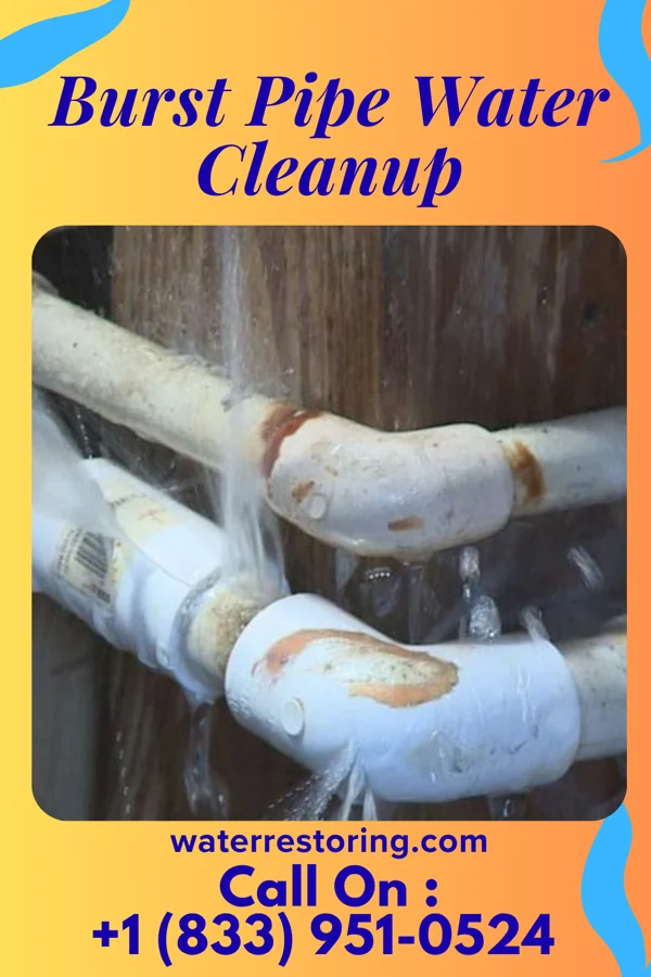 Burst Pipe Water Cleanup in Algonac, MI
