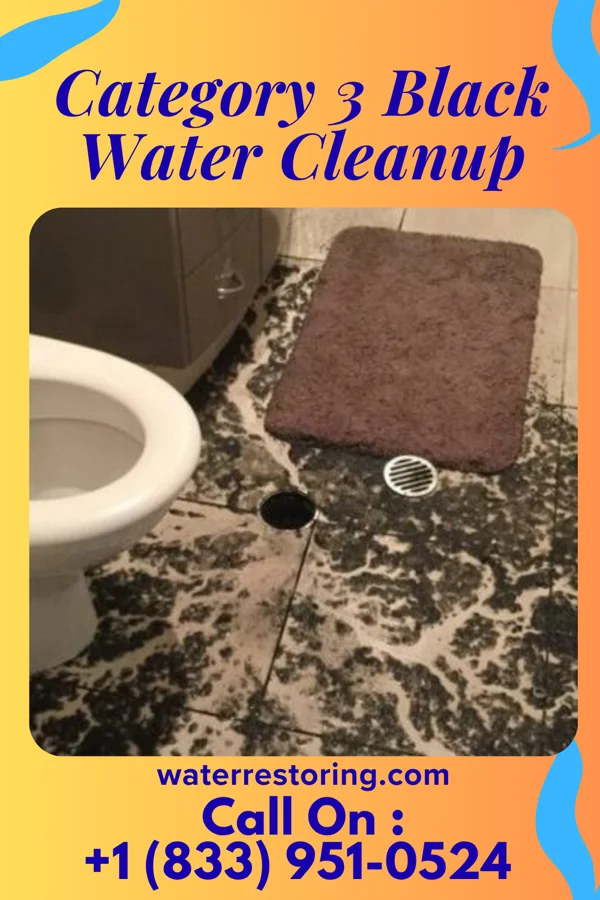 Category 3 Black Water Cleanup in Algonac, MI