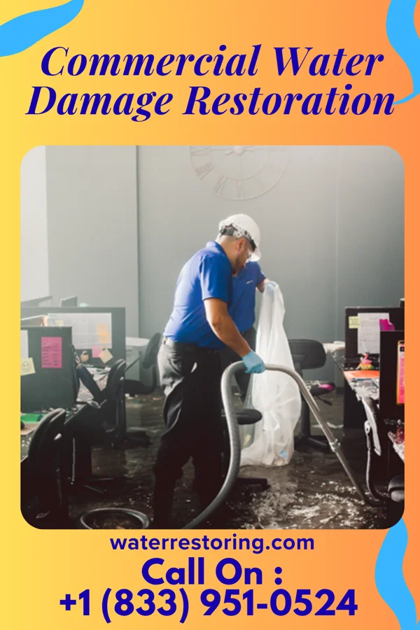 Commercial Water Damage Restoration in Algonac, MI