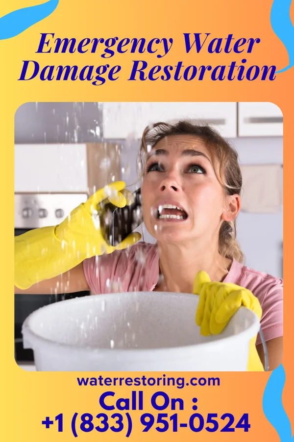 Emergency Water Damage Restoration in Algonac, MI