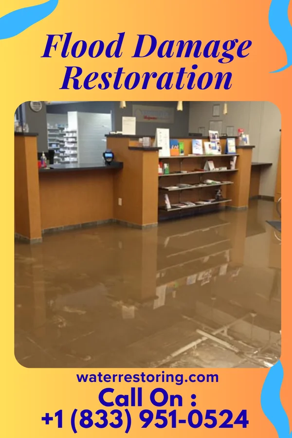 Flood Damage Restoration in Algonac, MI