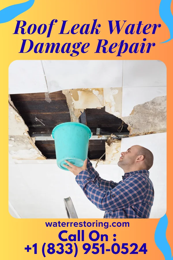 Roof Leak Water Damage Repair in Algonac, MI