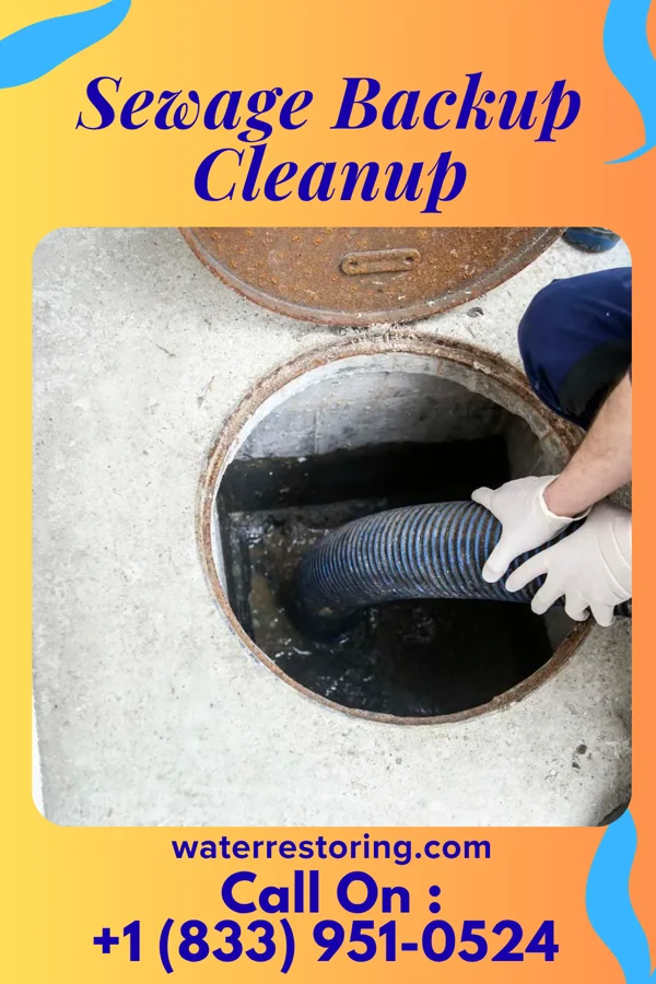 Sewage Backup Cleanup in Algonac, MI