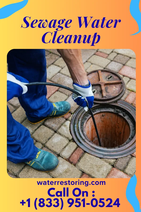 Sewage Water Cleanup in Algonac, MI