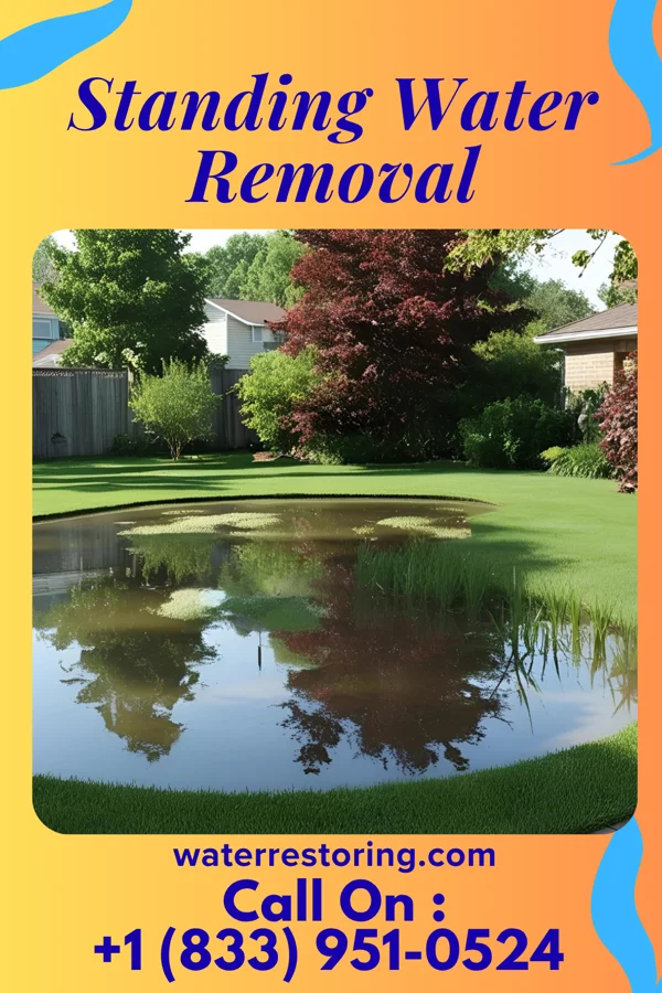 Standing Water Removal in Algonac, MI